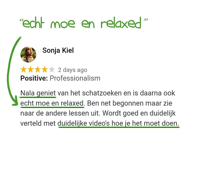 DDB testimonial Sonja
