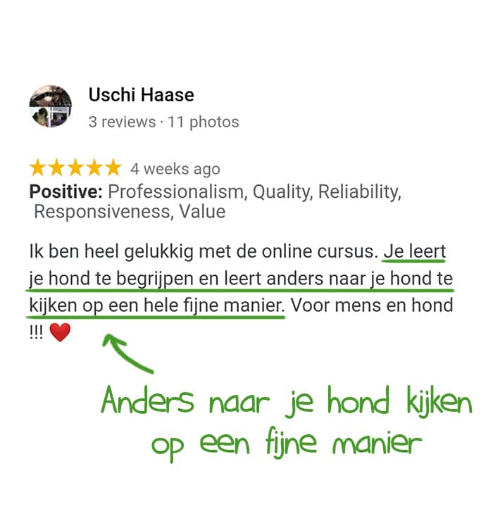 DDB testimonial Uschi