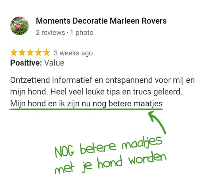DDB testimonial Marleen