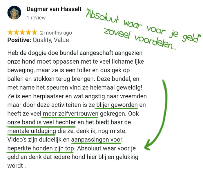 DDB testimonial dagmar