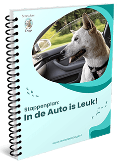 stressless wandelen - autoritjes hond C