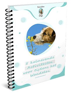 stresslesswandelen 5 kalmerende activiteiten bonus C
