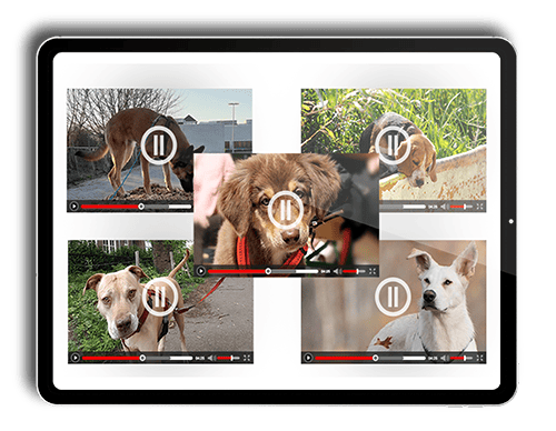 tablet videoserie bonus 3