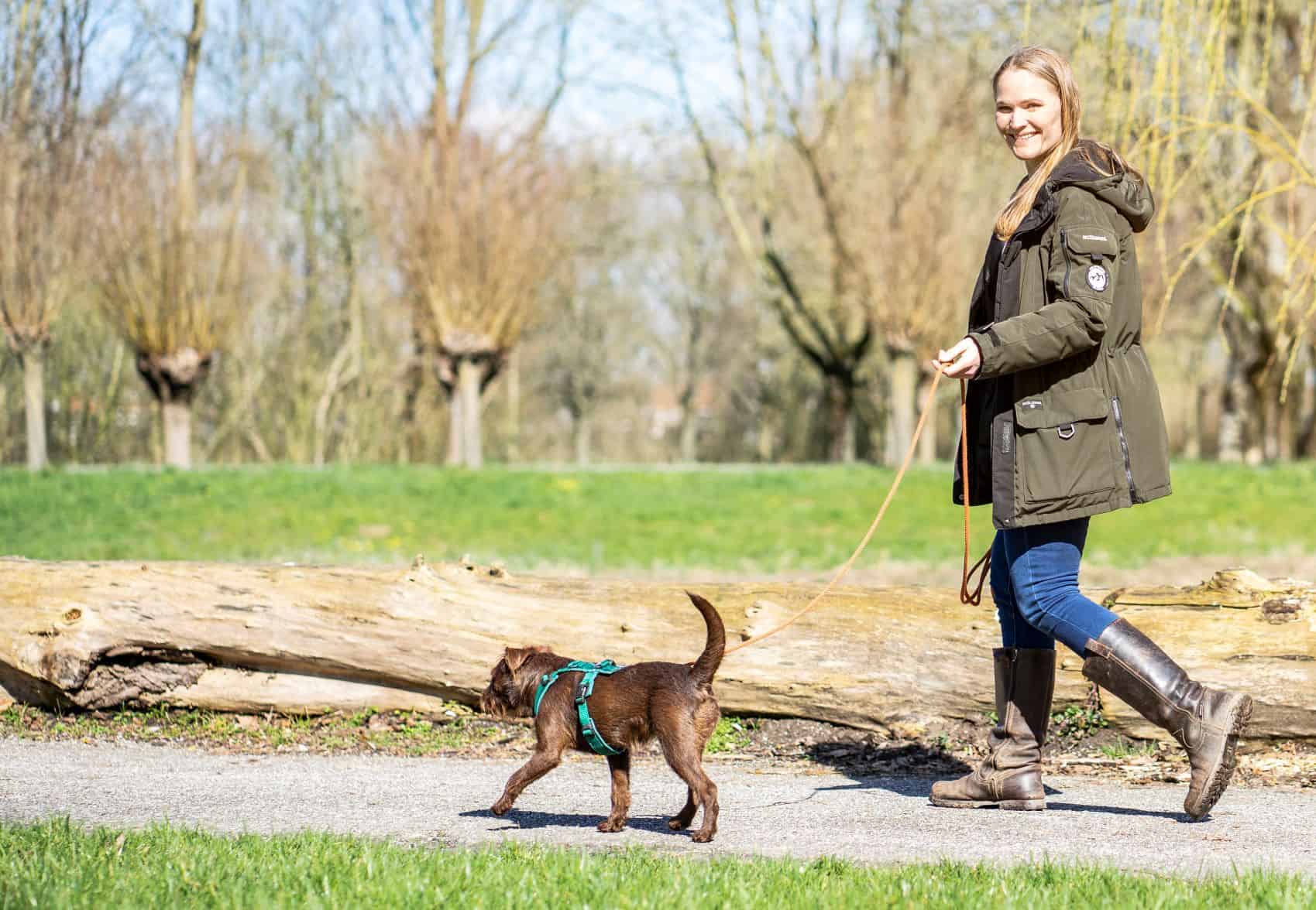 Verwisselbaar Oppervlakte Familielid De 3 redenen waarom een hond trekt aan de lijn (en wat jij daaraan kunt  doen) - Stressless Dogs