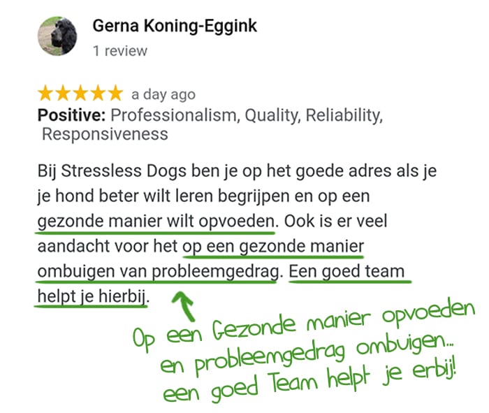 DA-testimonial-Gerna