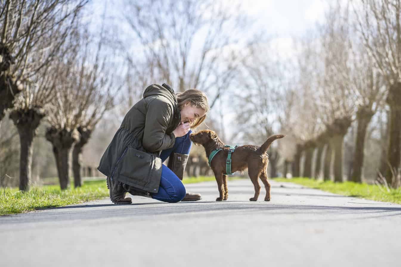 stressvrij wandelen - stresslessdogs