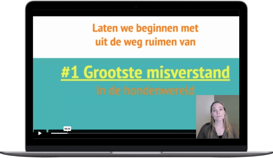 Ontwerp zonder titel (21)