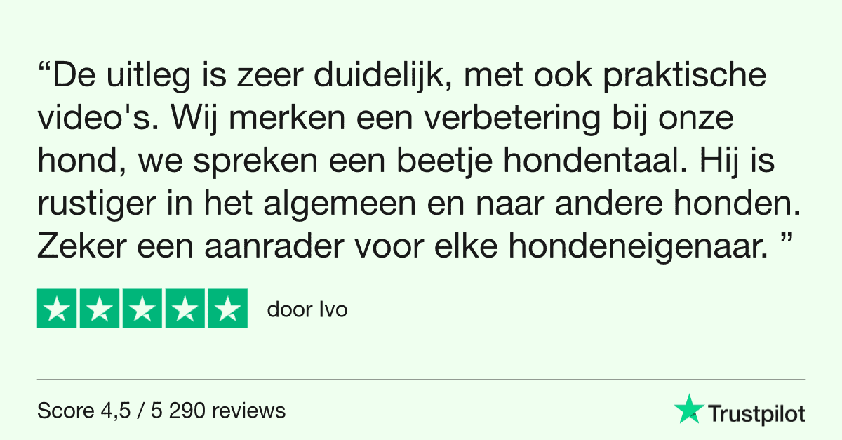 Trustpilot Review - Ivo